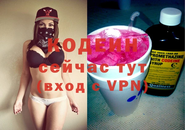шишки Беломорск