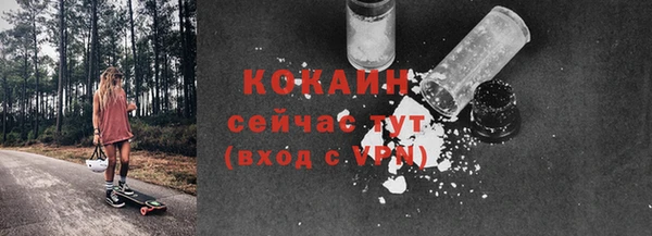 шишки Беломорск
