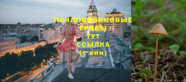 шишки Беломорск