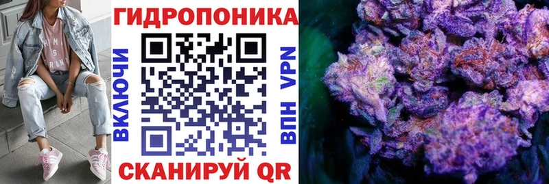 Шишки марихуана планчик  Новокузнецк 